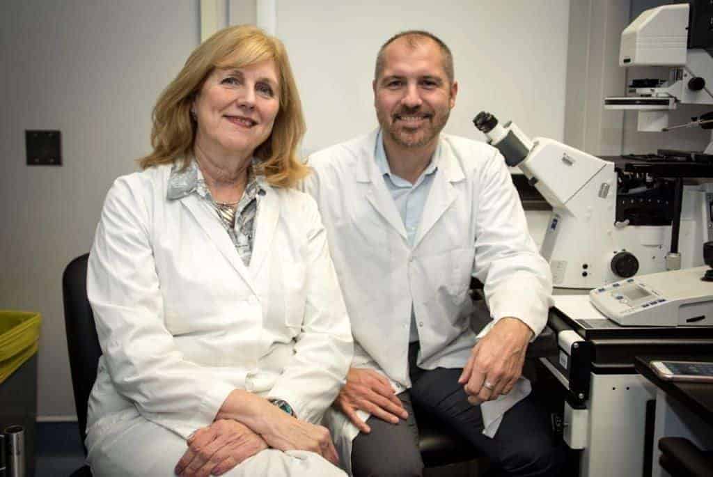 Rapport de recherche des docteurs Gentil et Durham