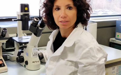 “Targeting Cav2.1 to recover firing defects and degeneration of Purkinje neurons in ARSACS”