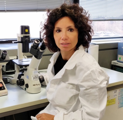 “Targeting Cav2.1 to recover firing defects and degeneration of Purkinje neurons in ARSACS”