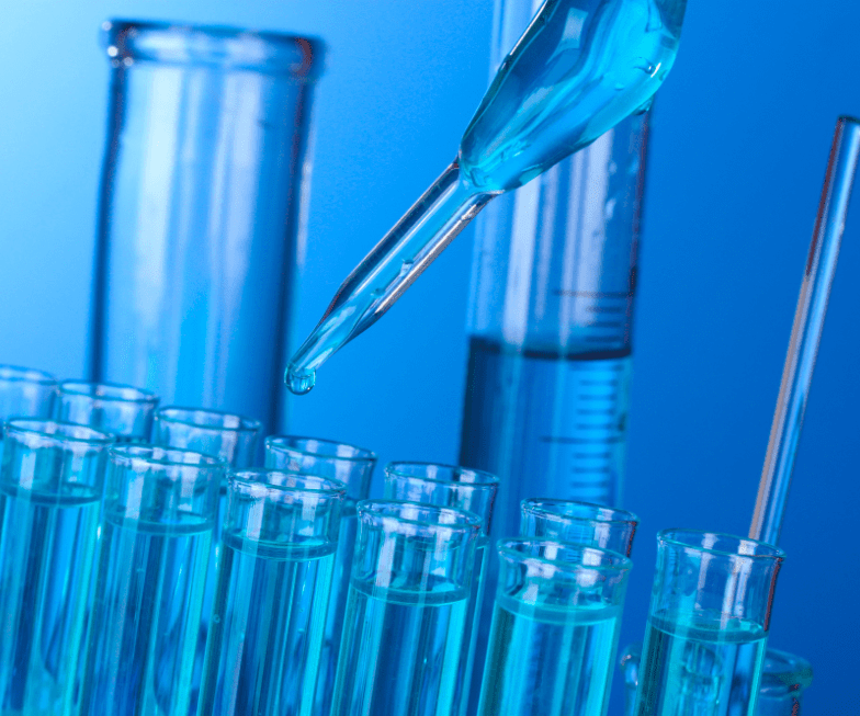 A New Step Forward in Understanding SACSIN