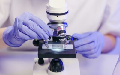 Six Novel SACS Mutations Expand the ARSACS Spectrum